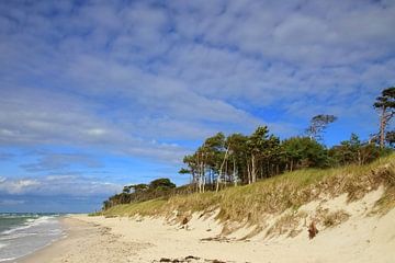 On the west beach of Prerow by Ostsee Bilder