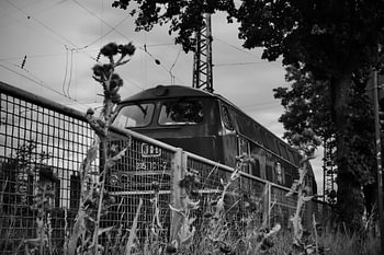 Ligne B,&, ligne W