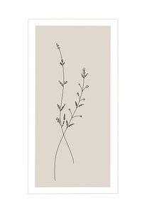 Pure Nature Edition Gray II