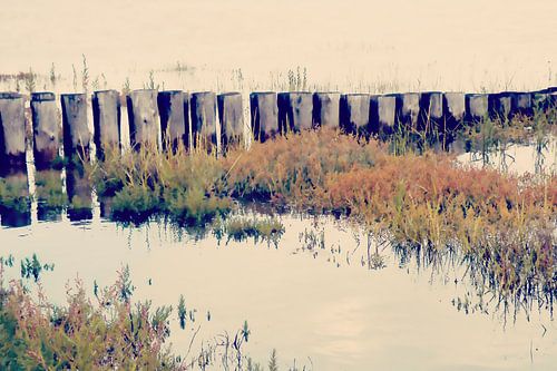On the Wadden Sea no6
