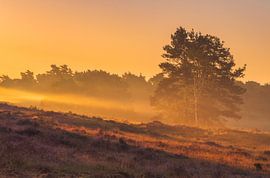 Lande atmosphérique