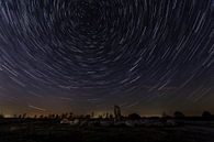 Cirkels in de nacht - sterrensporen van Karla Leeftink thumbnail