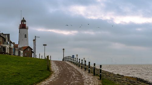 Vuurtoren Urk aan de Staversekade overdag