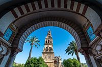 Mezquita in Cordoba, Andalusia, Spanje