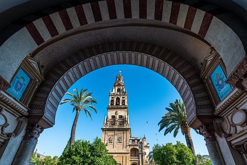 tower of the Mezquita in Cordoba, Andalusia, Spain