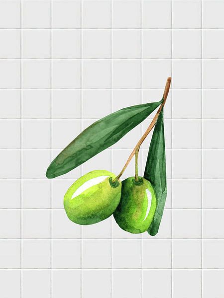 Olijf waterverf illustratie van Elles
