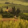 Zwischen Hügeln und Morgenstille - Toskana - Podere Belvedere von Teun Ruijters