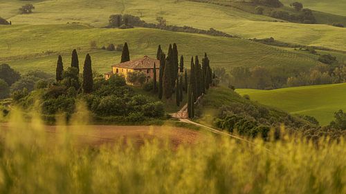 Zwischen Hügeln und Morgenstille - Toskana - Podere Belvedere von Teun Ruijters