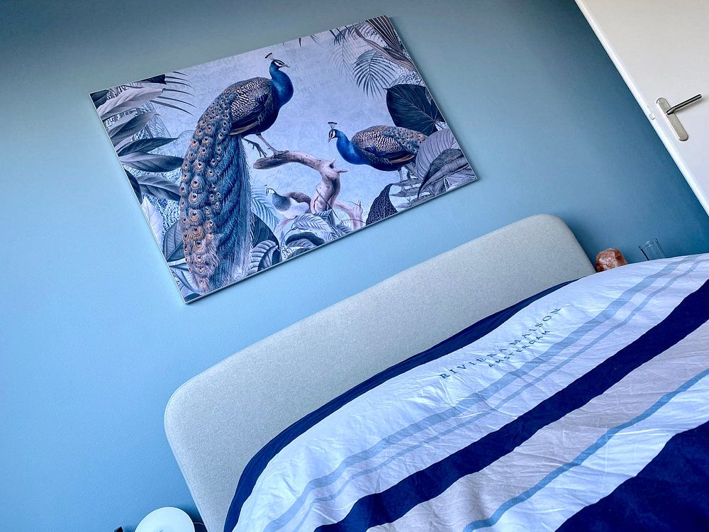 Pfauendschungel II  von Andrea Haase 