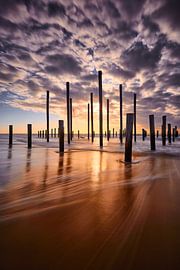 Palendorp Petten von Peter de Jong