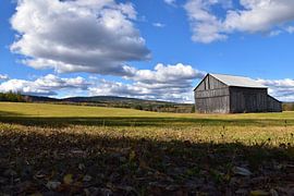 Une ferme au printemps