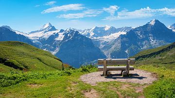 houten bank met prachtig uitzicht op de Berner Alpen Grindelwald van SusaZoom