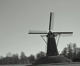 voelen hoe de wind waait by Rianne  Jansen-Koenen