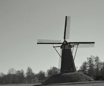 voelen hoe de wind waait