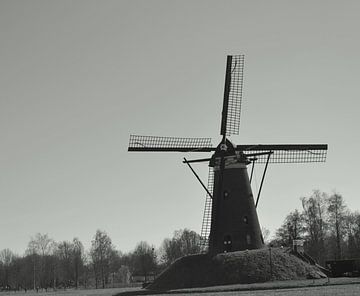 voelen hoe de wind waait