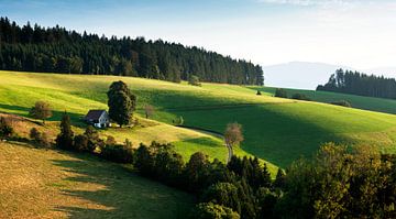 lonely farmhouse in the evening light by Jürgen Wiesler