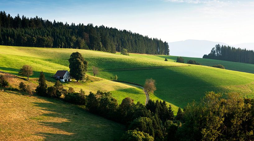 lonely farmhouse in the evening light by Jürgen Wiesler