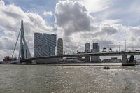 Erasmusbrug in Rotterdam