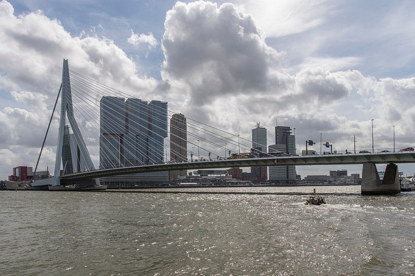 Erasmusbrug in Rotterdam by Harry Kors
