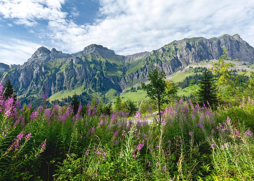 Schweiz, Sommer von Edwin Kooren