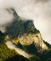 Hiding giant