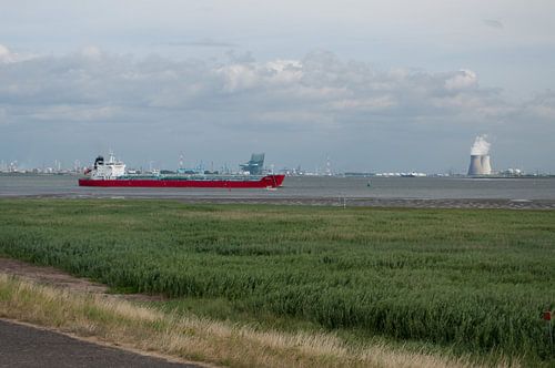 Uitzicht op de haven van Antwerpen