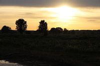 Ondergaande zon Natuurpark Meinerswijk