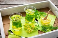 Gläser mit frisch aufgebrühtem Tee aus Zitronenmelisse und Leinsamen von Stefanie Keller Miniaturansicht