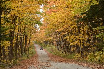 A country road in autumn by Claude Laprise