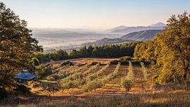 Sunrise in the Valdipetrina by Rob Boon