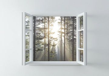 view of the forest landscape from the living room by Egon Zitter