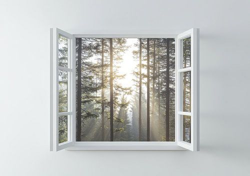 uitzicht vanuit de woonkamer op het boslandschap