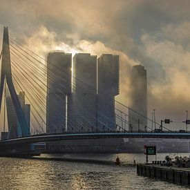 Rotterdamned van Frans Blok - foto's, kunst en andere wanddecoratie