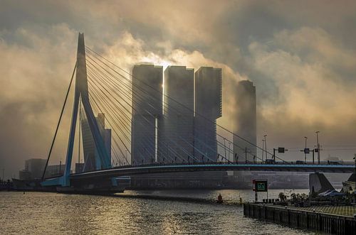 Rotterdamned von Frans Blok - Fotos, Kunst und weitere Wanddekoration