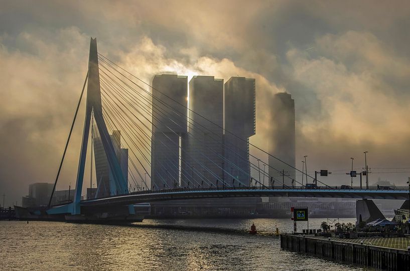 Rotterdamned by Frans Blok - photos, art and other wall decoration