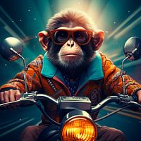Affe auf Motorrad