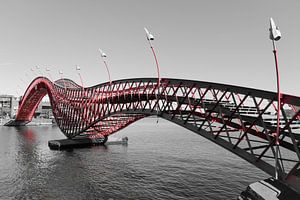 Pont Python, Amsterdam