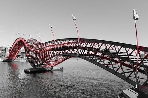 Python bridge, Amsterdam