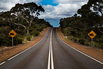 une route vide en australie sur Ivo de Rooij