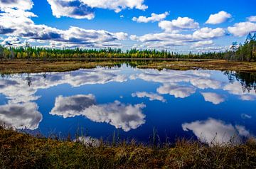 "Weerspiegeling" in het Oulanka Nationaal Park, Finland. van Kaj Hendriks