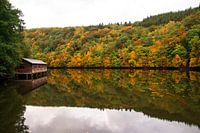 Couleurs d'automne se reflétant dans l'eau