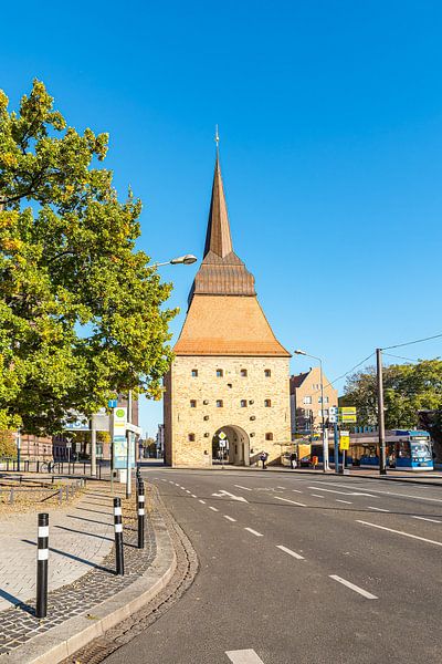 View of the Steintor in the Hanseatic city of Rostock in autumn by Rico Ködder