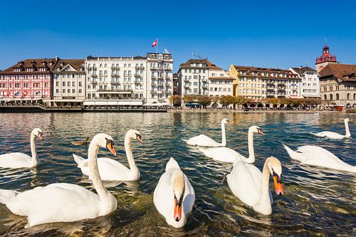 Cityscape with the old town of Lucerne, Switzerland by Werner Dieterich
