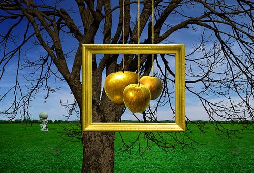 The Golden Apples in the garden of the Hesperides