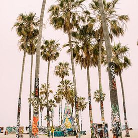 Venice Beach Palm Trees by Patrycja Polechonska