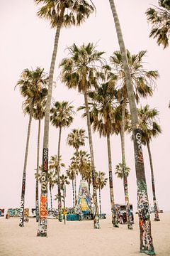 Venice Beach Palm Trees by Patrycja Polechonska