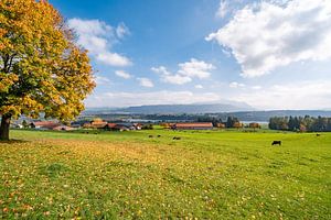 Vue automnale sur le lac de Niedersonthofen et le Grünten