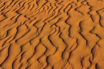 La beauté du désert sur Jeroen Kleiberg