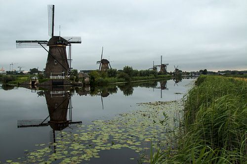 Molens bij Kinderdijk