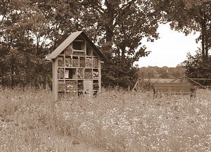 Insektenhotel in Sepia.